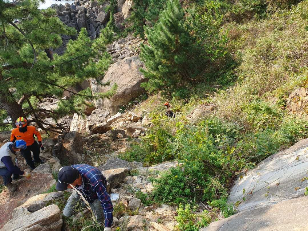 0932 삼척추락사고.jpg