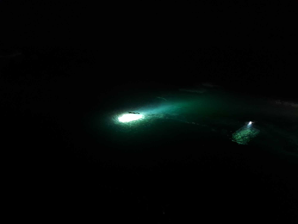 2320 강릉 수난사고.jpg