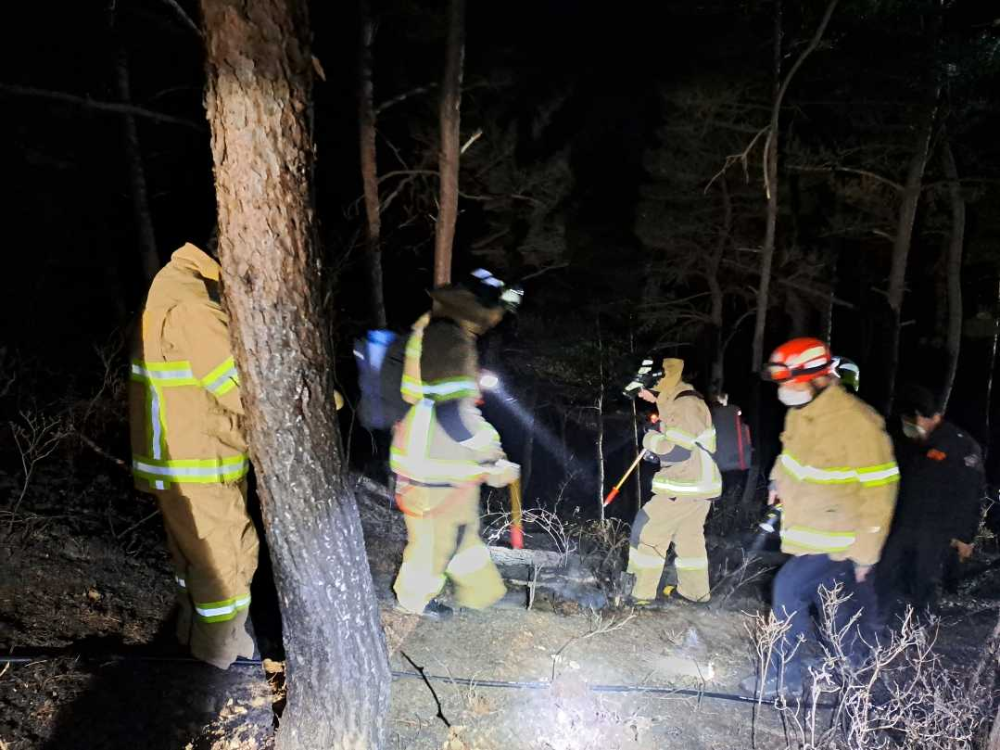 2030 고성 거진읍 화포리 산림화재 현장활동 사진2.jpg