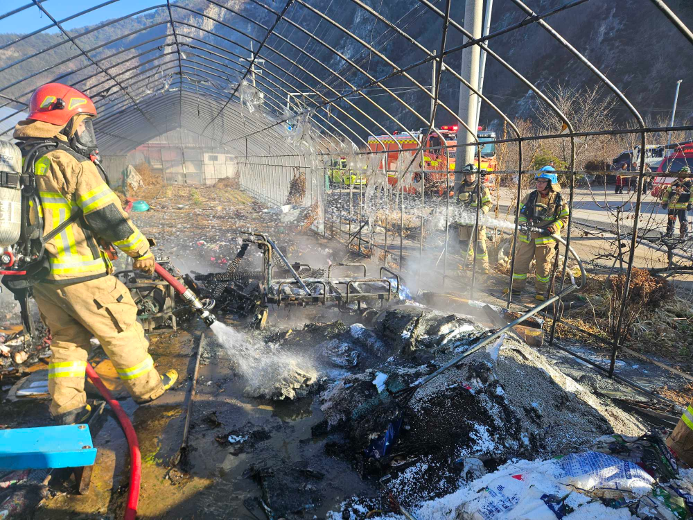 0951 정선 비닐하우스 화재.jpg