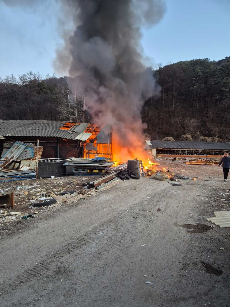 1731 홍천 남면 용수리 농장 화재 1.jpg