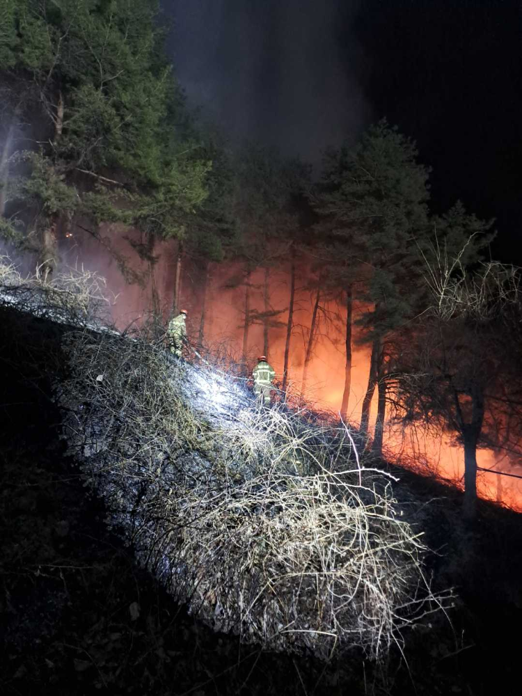 0259 강릉 구정면 산림화재.jpg