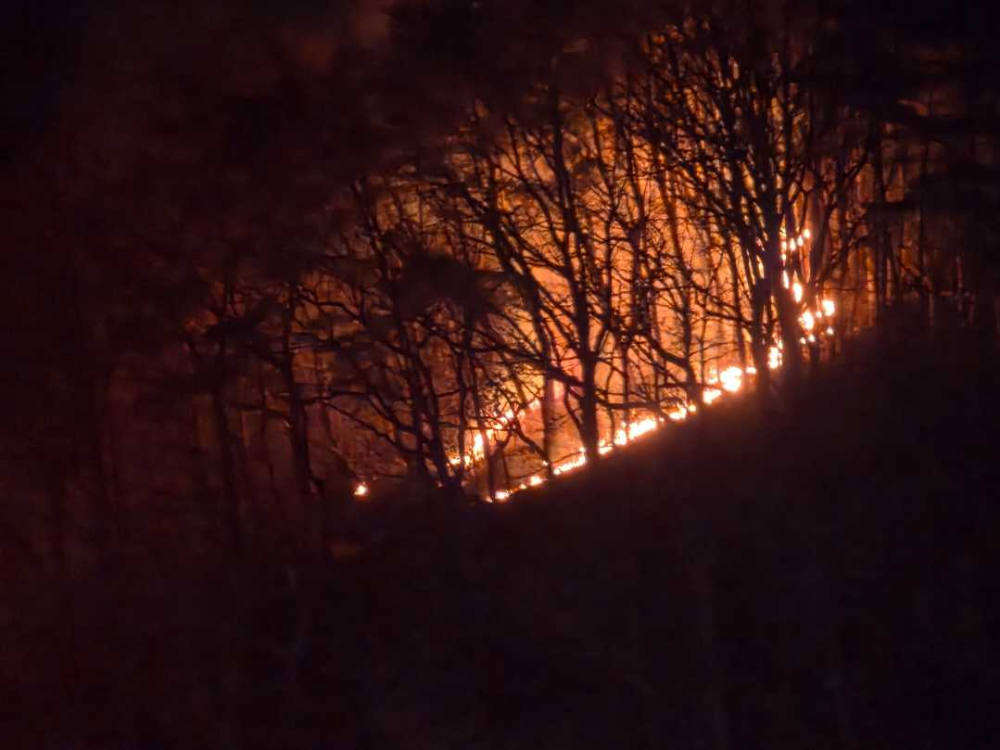 1854 춘천 신동면 팔미리 산림화재 1.jpg