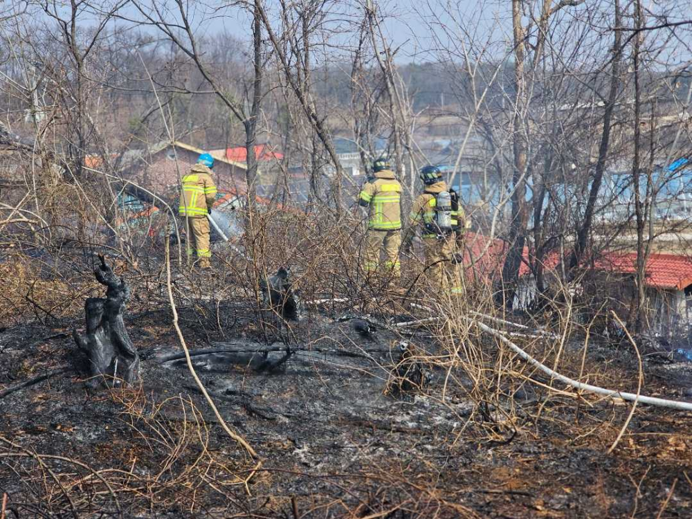 1146 원주 부론면 들불화재.jpg