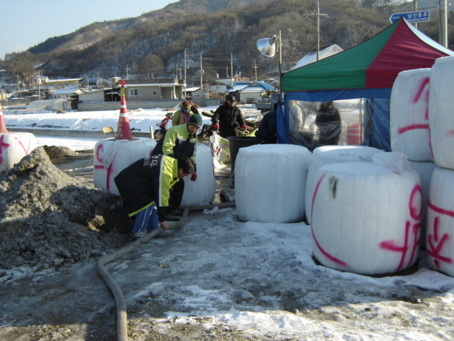 구제역_4.jpg