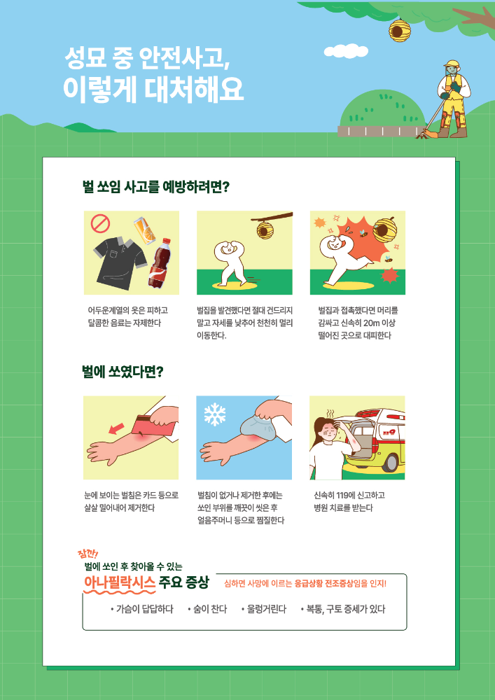 성묘 중 안전사고2.jpg